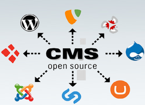 cms web devlopment